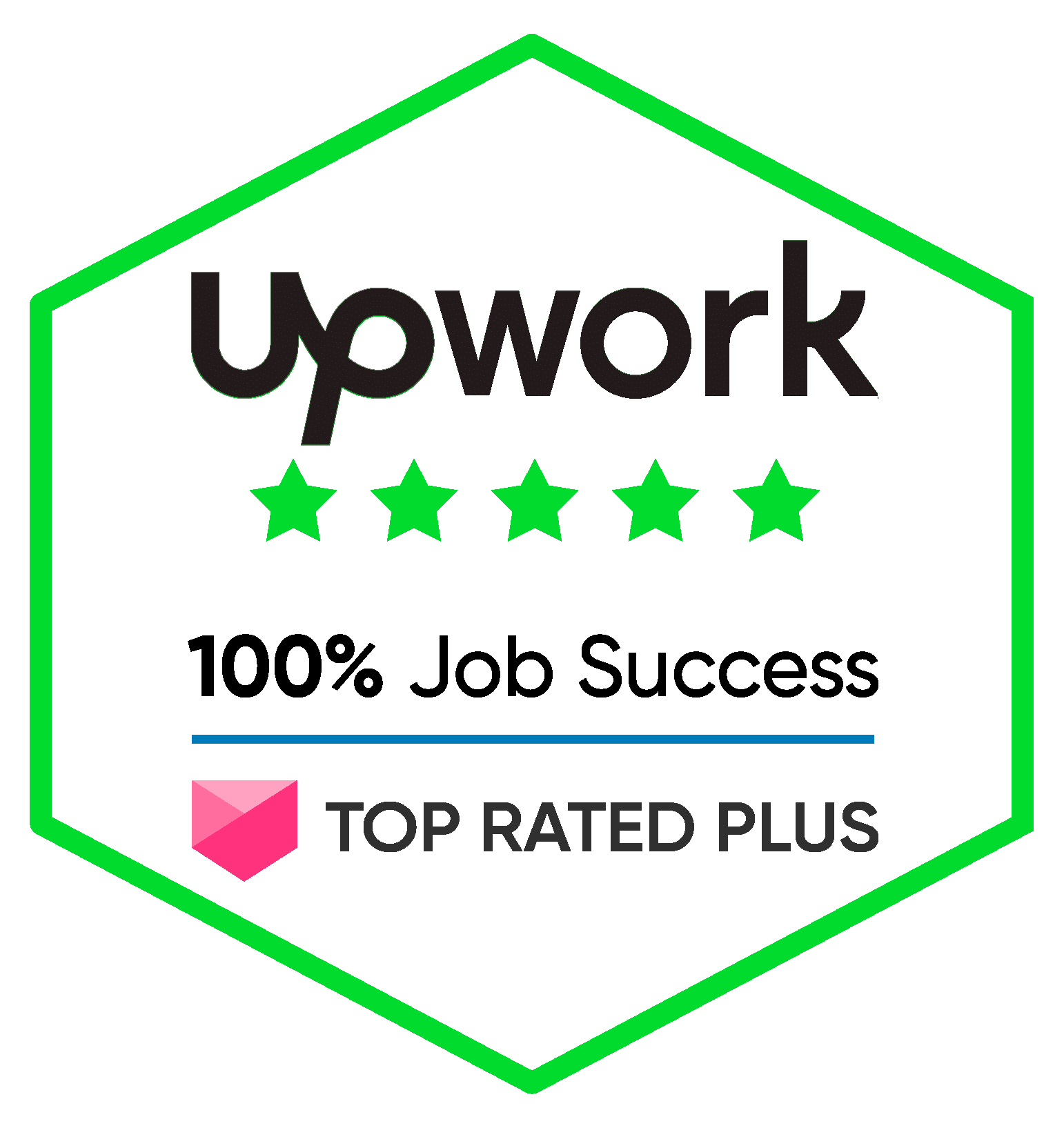 Upwork Top Rated Plus, independently verified